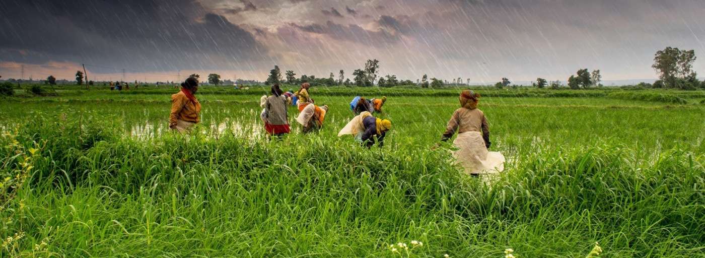 شرکت کنجاله ساز