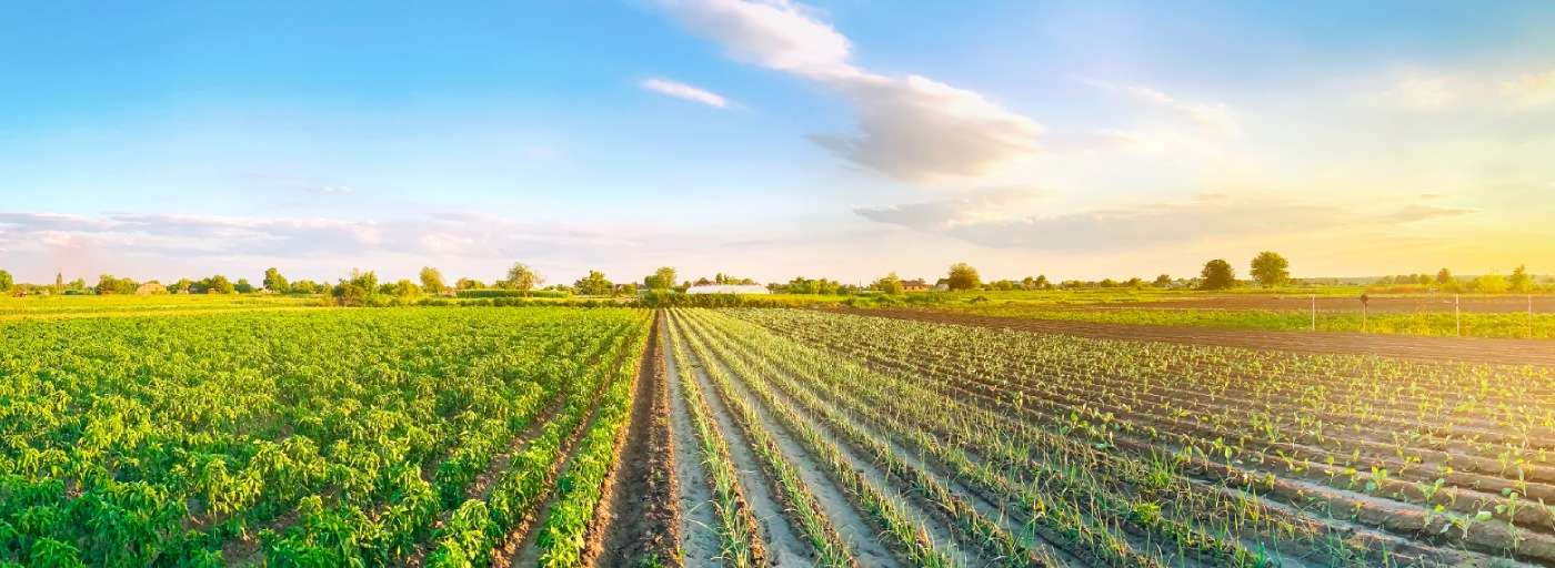 شرکت کنجاله ساز